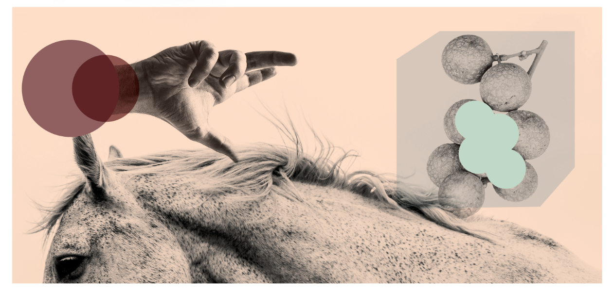 © Unsplash ; illustration : © William L. pour PM