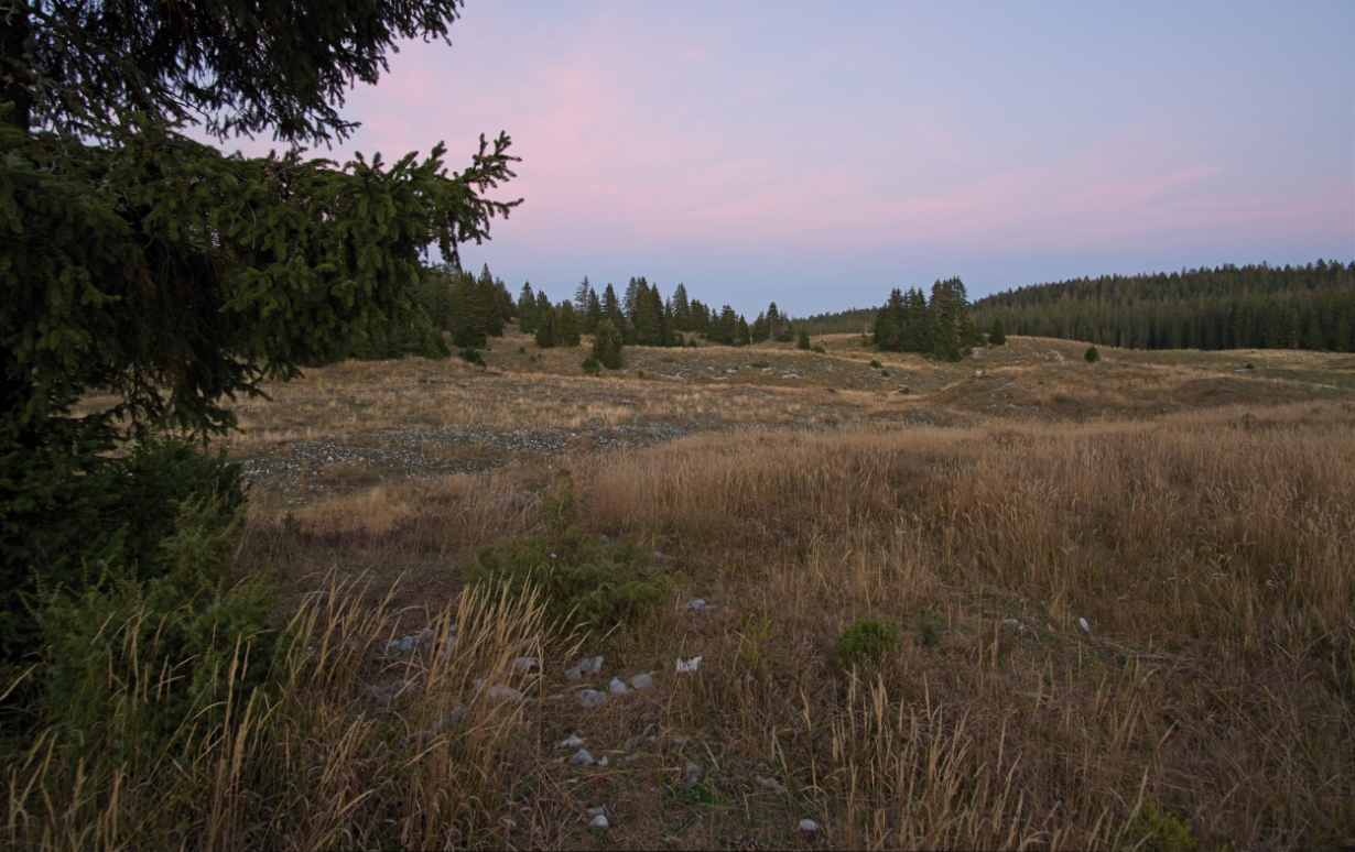 Jean-Baptiste Strobel pour PM