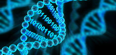 Stocker de l’information dans l’ADN ? 