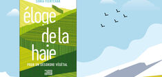En librairie : “Éloge de la haie”, de Sonia Feertchak