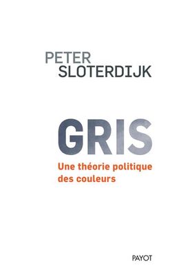 Gris. Une théorie politique des couleurs 
