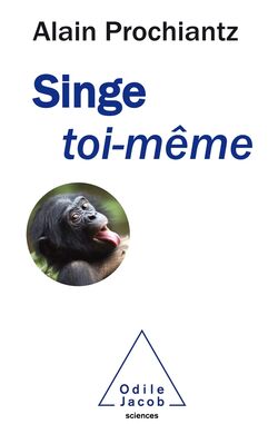 Singe toi-même 