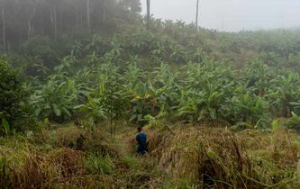 En Birmanie, les nouveaux visages de la résistance