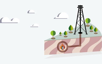 Gaz de schiste. L’esprit dans la pierre