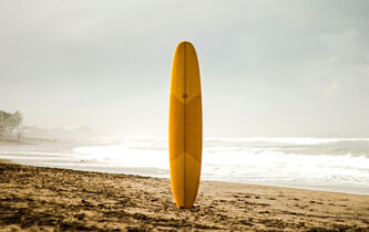 Faut-il rémunérer les surfeurs ?