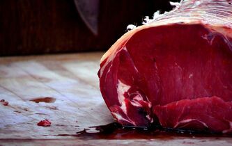 Les structures élémentaires de l’alimentation carnée