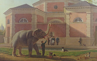 François Héran : “Au XIXe siècle, on applique le terme de ‘naturalisation’ à de nombreux domaines”