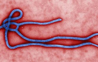 L’anthropologie mobilisée contre le virus Ebola