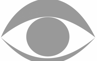 Adoption de la loi sur le renseignement: sécurité contre liberté