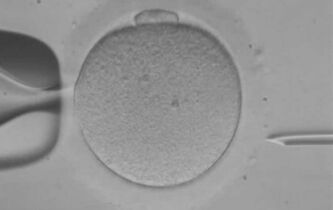 Manifeste des 130 médecins: la parentalité, entre politique et génétique