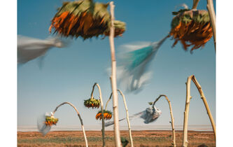 Michael Marder : régénérer la pensée par les plantes