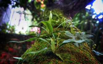 L’écologie peut-elle s’inviter dans le cockpit?