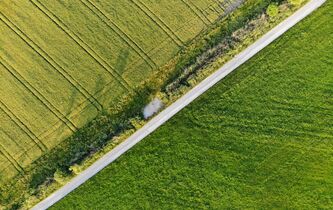 L’europe, les Verts et André Gorz