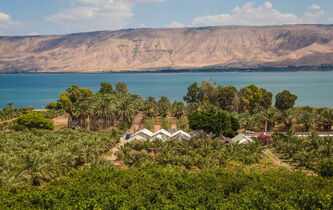 Kibboutz. L’utopie perdue ?