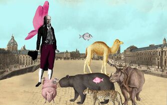 La translation des animaux