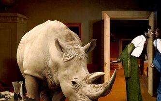 Ludwig Wittgenstein. Mille vies en tourment