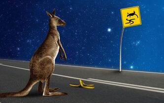 Thomas Cathcart, Daniel Klein. Comment rire d’une banane molle