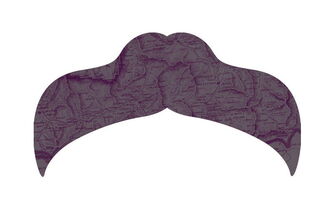 L'amour du destin. Sur les traces de Nietzsche