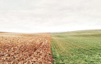 La Nature a-t-elle toujours raison ?