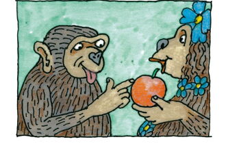 Comment l’homme descend-il du singe ?