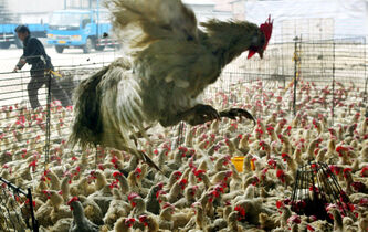 Frédéric Keck : “Nous n’avons pas l’imaginaire pour comprendre ce qui nous arrive”