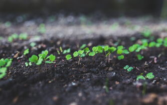 Nicolas Hulot, Edgar Morin. L’urgence écologique