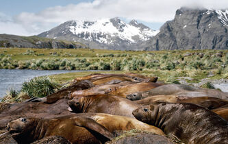 Et si l’on mettait le monde sauvage à l’abri ?