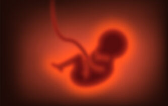 “Réarmement démographique” : le ventre des femmes n’est pas une arme de guerre