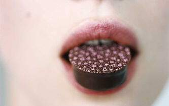 Pourquoi raffole-t-on du chocolat ?