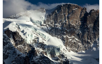 Les nouvelles graines de la résistance