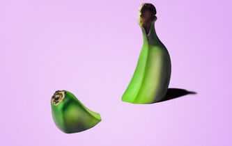 Frédéric Nef, l’homme aux mille logiques