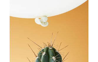 Repérez la fragilité du lien de causalité thèse-argument