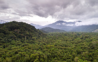 Civilisation casarabe : qu’est-ce qu’une “civilisation perdue” ?