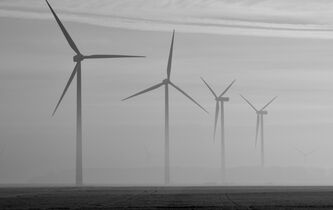 Virginie Maris : “Les éoliennes sont le symptôme d’un mal profond”