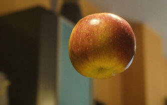 Le mystère de l’interaction à distance, des présocratiques à nos jours