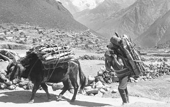 La périlleuse réappropriation culturelle de l’Himalaya par les sherpas
