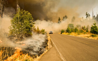 Joëlle Zask face au temps des mégafeux
