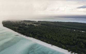 Peut-on éradiquer une espèce pour sauver un milieu ?