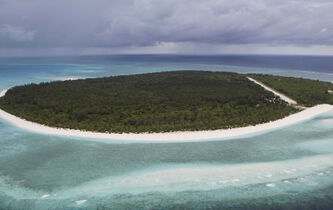 Éliminer les rats pour restaurer la biodiversité ?