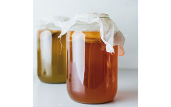 Kombucha. Les ferments de la rébellion