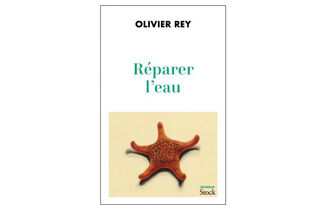 Olivier Rey : “Il faut commencer par réparer l’eau, afin qu’elle puisse à nouveau nourrir nos rêves”