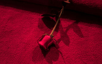 Meeting d’Anne Hidalgo, candidate socialiste à l’élection présidentielle, au Cirque d’Hiver (Paris), le 3 avril 2022