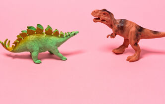 Opposition contradictoire et opposition contraire