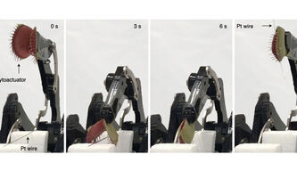 Faut-il transformer les plantes en robots ?