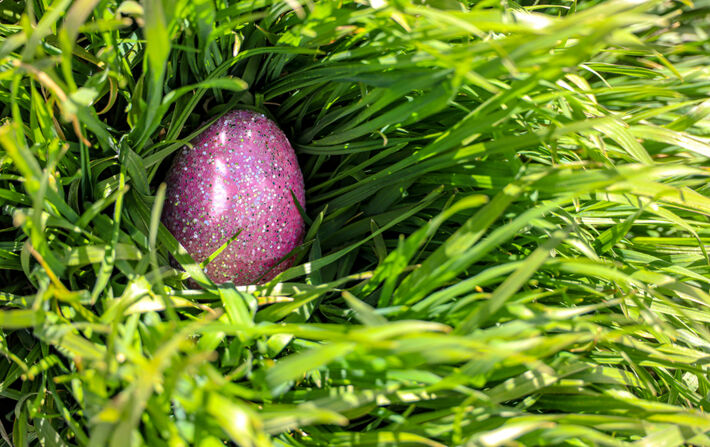 À quoi sert la chasse aux œufs ?